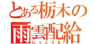 とある栃木の雨雲配給（にっこうる）