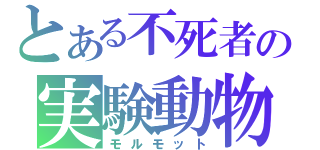 とある不死者の実験動物（モルモット）