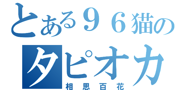 とある９６猫のタピオカ（相思百花）