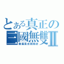 とある真正の三國無雙Ⅱ（敵羞吾去脱他衣）