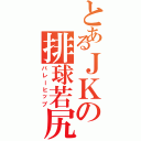 とあるＪＫの排球若尻（バレーヒップ）