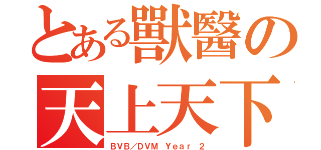 とある獸醫の天上天下（ＢＶＢ／ＤＶＭ Ｙｅａｒ ２）