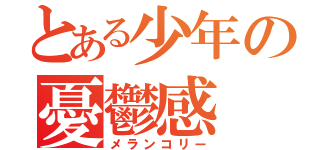 とある少年の憂鬱感（メランコリー）