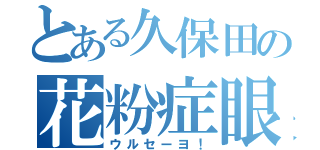 とある久保田の花粉症眼鏡（ウルセーヨ！）