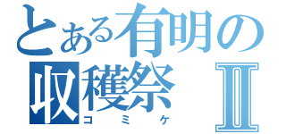 とある有明の収穫祭Ⅱ（コミケ）