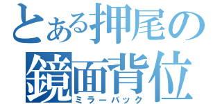 とある押尾の鏡面背位（ミラーバック）