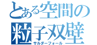 とある空間の粒子双壁（サルダーフォール）