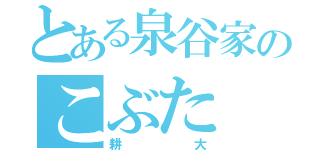 とある泉谷家のこぶた（耕大）