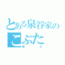 とある泉谷家のこぶた（耕大）