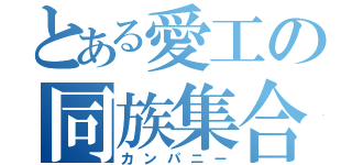 とある愛工の同族集合（カンパニー）