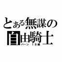 とある無謀の自由騎士（パーン １８歳）