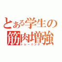 とある学生の筋肉増強（トレーニング）