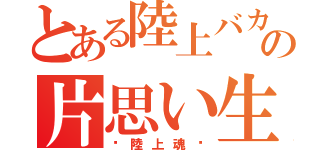 とある陸上バカの片思い生活（〜陸上魂〜）