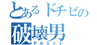 とあるドチビの破壊男（テルミット）