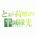 とある荷塘の半減綠光（ｓｕｍｍｅｒ）