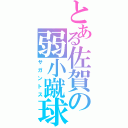 とある佐賀の弱小蹴球（サガントス）