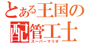 とある王国の配管工士（スーパーマリオ）