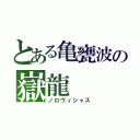 とある亀甕波の嶽龍（ノロヴィシャス）