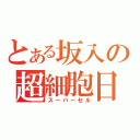 とある坂入の超細胞日（スーパーセル）