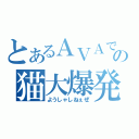 とあるＡＶＡでの猫大爆発（ようしゃしねぇぜ）