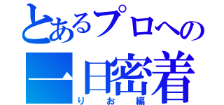 とあるプロへの一日密着（りお編）