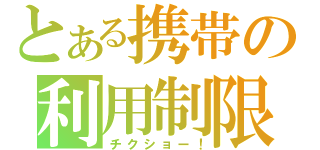 とある携帯の利用制限（チクショー！）