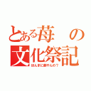 とある苺の文化祭記（ほんまに劇やんの？）