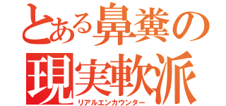 とある鼻糞の現実軟派（リアルエンカウンター）