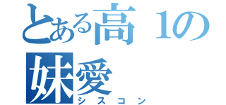 とある高１の妹愛（シスコン）