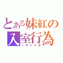 とある妹紅の入室行為（ＩＮしたお）