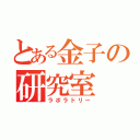 とある金子の研究室（ラボラトリー）