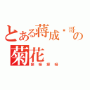 とある蒋成阳哥の菊花（痒呀痒呀）