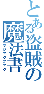 とある盗賊の魔法書（マジックブック）