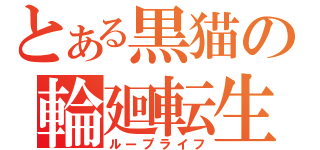 とある黒猫の輪廻転生（ループライフ）