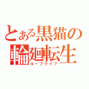 とある黒猫の輪廻転生（ループライフ）