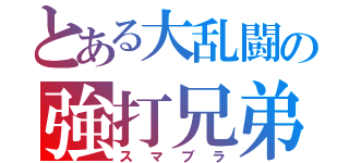 とある大乱闘の強打兄弟（スマブラ）