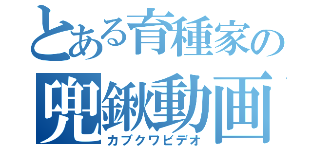 とある育種家の兜鍬動画（カブクワビデオ）