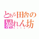 とある田舎の暴れん坊（さっくん）