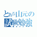 とある山元の試験勉強（悪あがき）