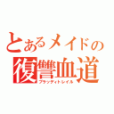 とあるメイドの復讐血道（ブラッディトレイル）