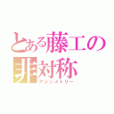 とある藤工の非対称（アシンメトリー）