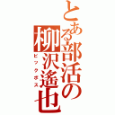 とある部活の柳沢遙也（ビックボス）