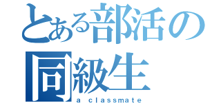 とある部活の同級生（ａ ｃｌａｓｓｍａｔｅ）