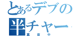 とあるデブの半チャーハン（真夜中）