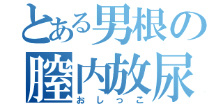 とある男根の膣内放尿（おしっこ）