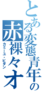 とある変態青年の赤裸々オナニー（カミーユ・ビダン）