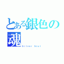 とある銀色の魂（Ｓｉｌｖｅｒ Ｓｏｕｌ）