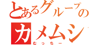 とあるグループのカメムシ（むっちー）