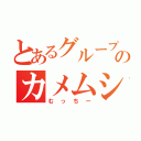 とあるグループのカメムシ（むっちー）