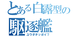 とある白露型の駆逐艦（ユウダチッポイ？）